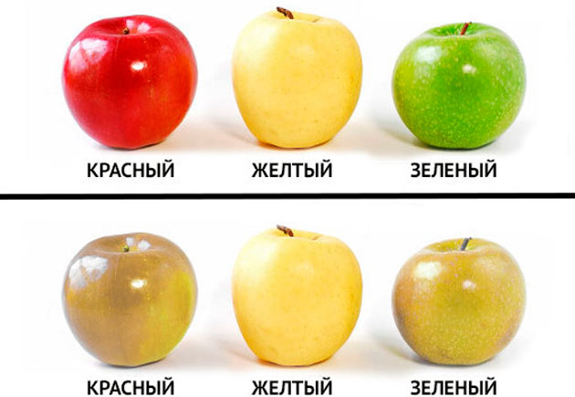 Перевірка кольоросприйняття